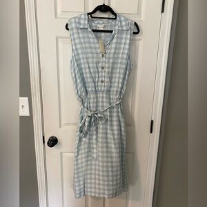 C&B Gingham Dress